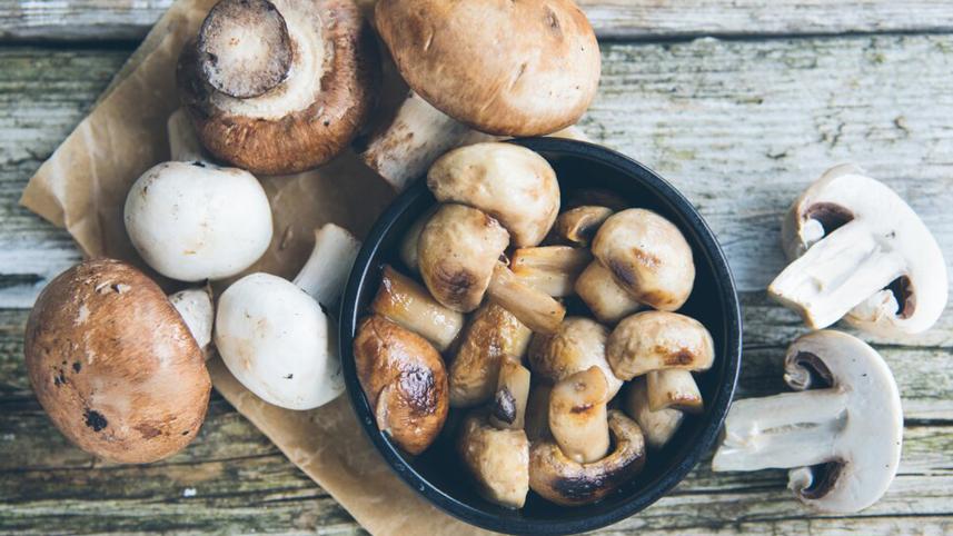 mushroom.jpg