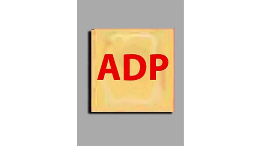 adp.jpg
