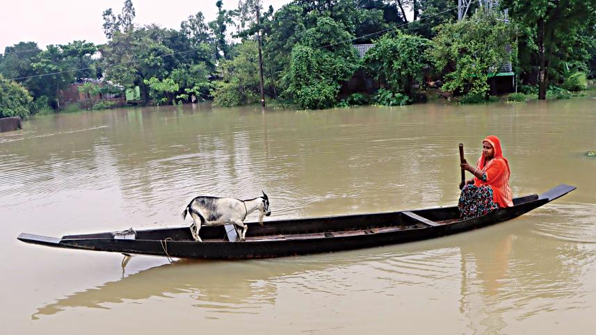 flood.jpg