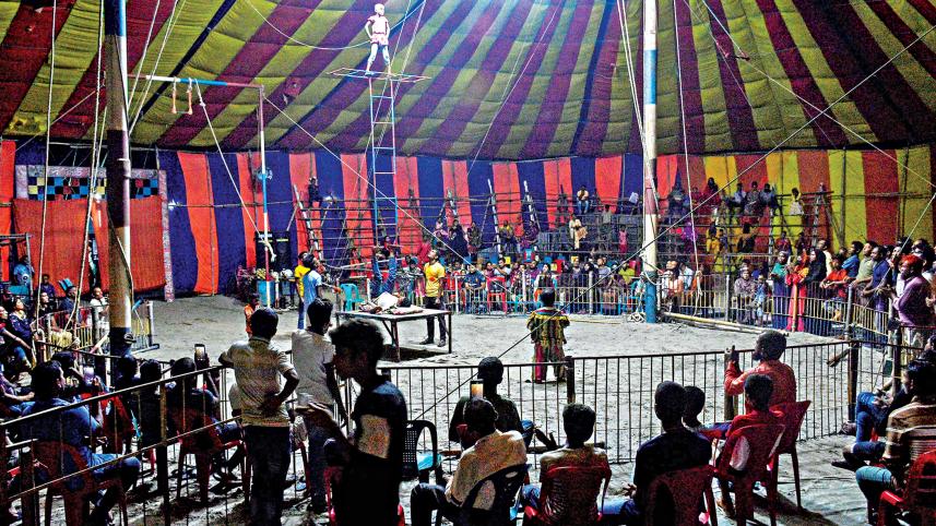 circus7.jpg