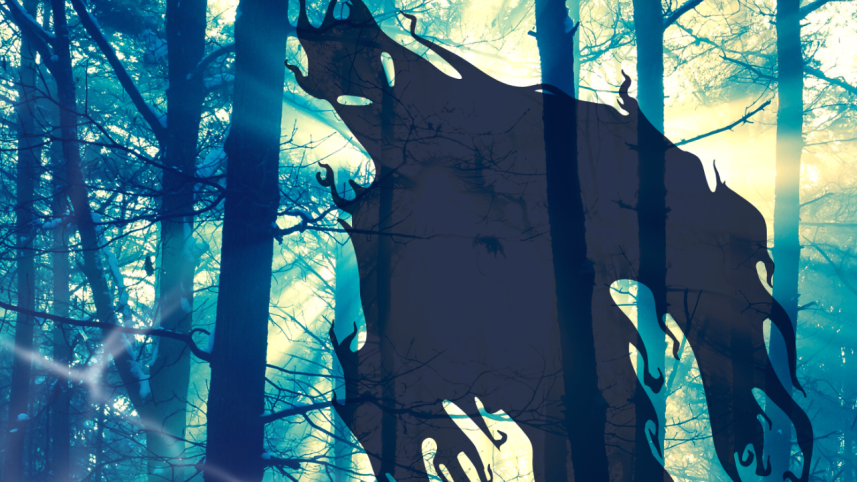 literature_web_illustrations.png