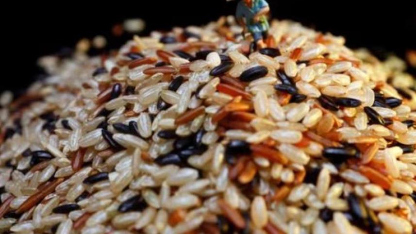 rice.jpg
