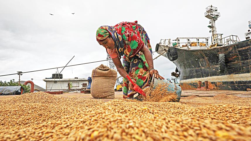 wheat import
