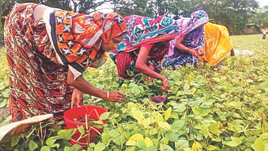 Women’s land rights