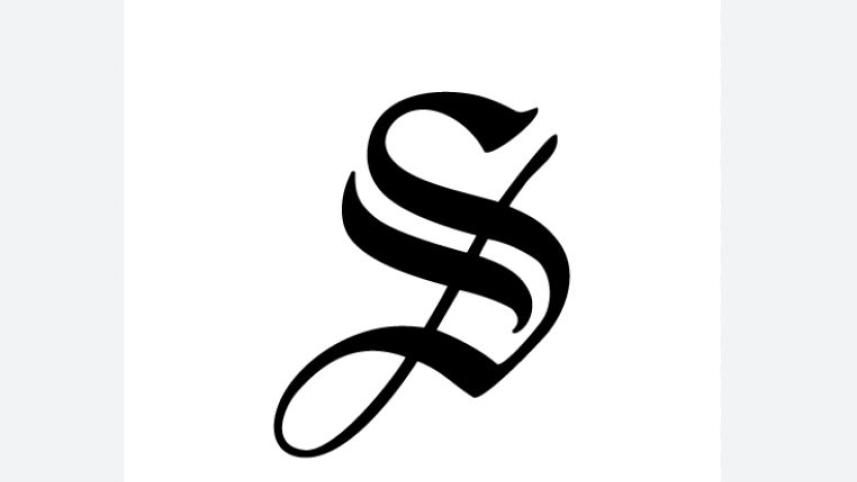 ds_logo.jpg