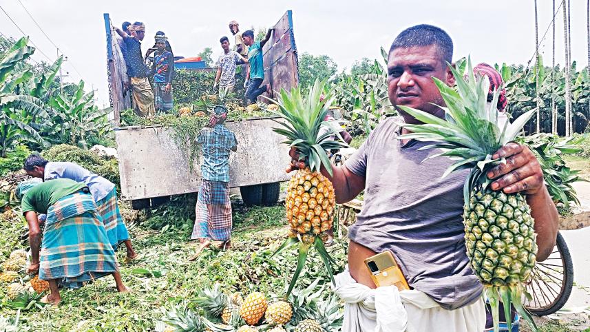pineapple10.jpg