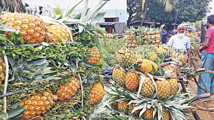 pineapple4.jpg