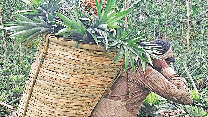 pineapple5.jpg
