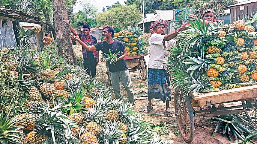 pineapple6.jpg