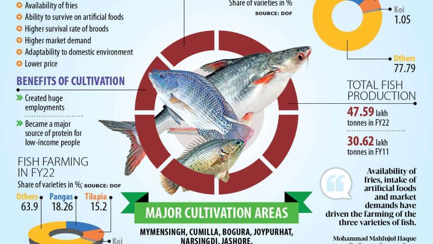 fish.jpg