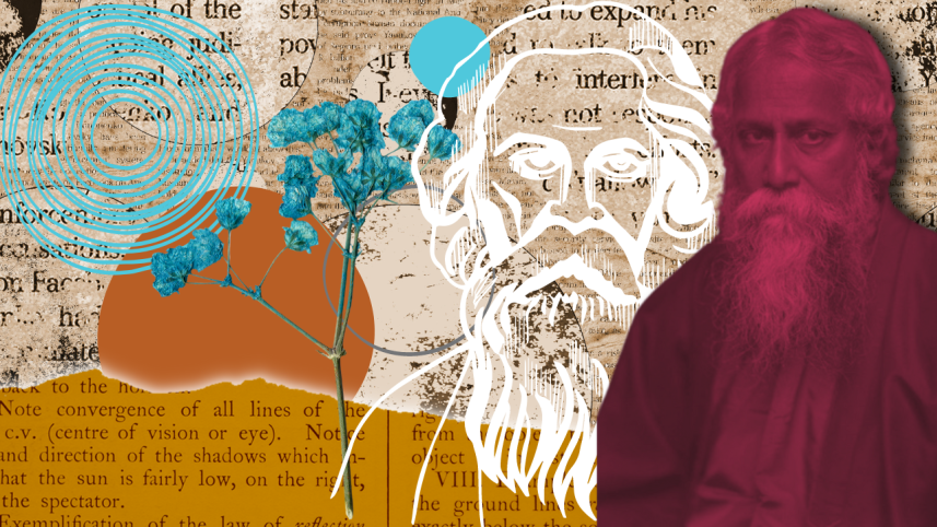 illustrations_8.png
