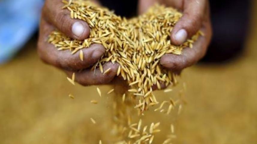 thai_rice.jpg