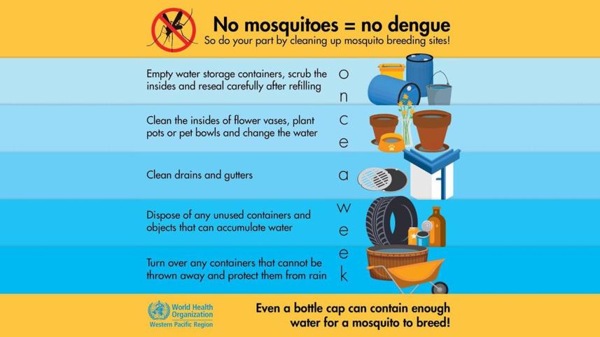 dengue-graph-who.jpg