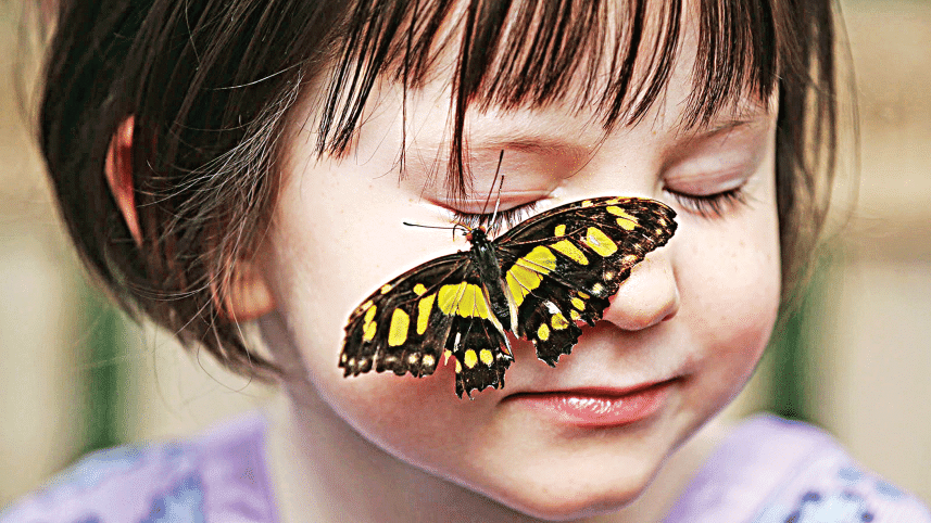 butterfly-effect.gif