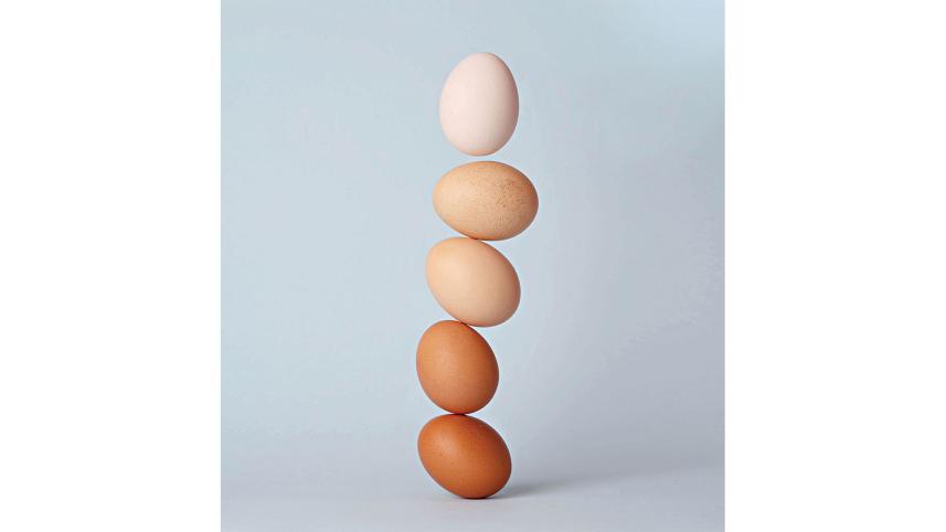 eggs-in-exams.jpg