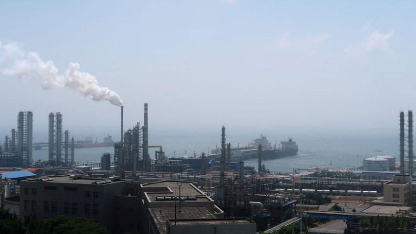 oil-steadies.jpg