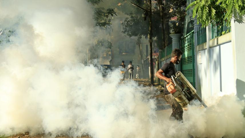 Dengue death today