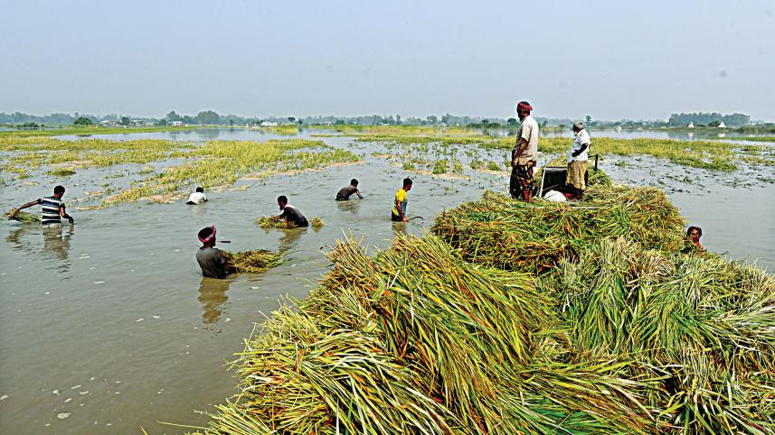bogura_flood.jpg