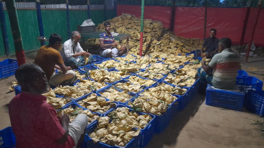 7.photo-_gourmoti_mango-taken_from_sapahar_rupgram_agro_farm_under_naogaon_recently-photo-_collected-mostafa_shabuj_29.08_7.jpg
