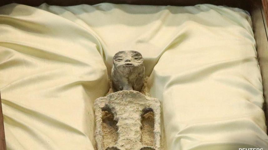 Remains of an allegedly 'non-human' being is seen on display during a briefing on unidentified flying objects, known as UFOs, at the San Lazaro legislative palace, in Mexico City, Mexico September 12, 2023. REUTERS/Henry Romero