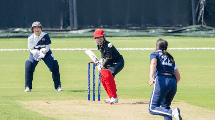 mongolia-cricket.gif
