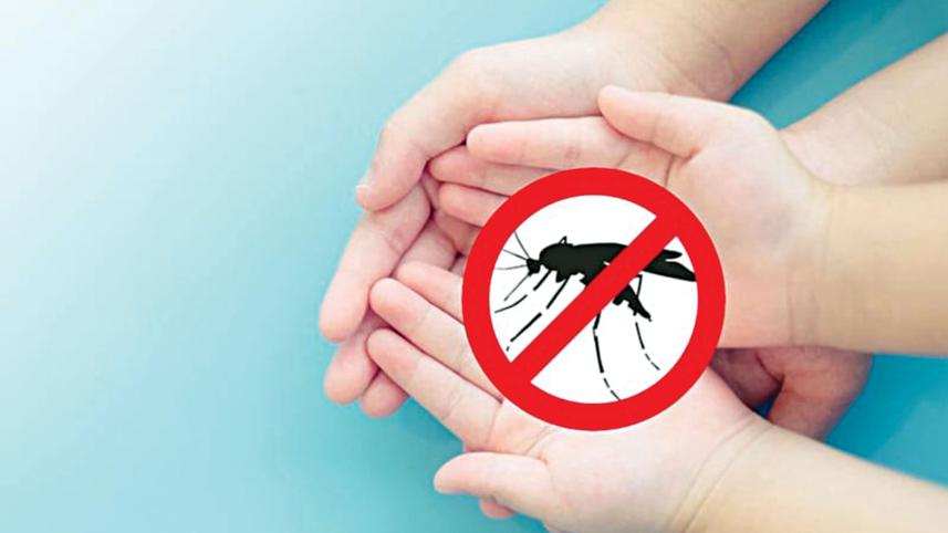 dengue.jpg