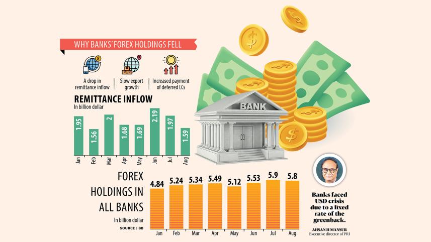 Forex holdings in banks fall in August