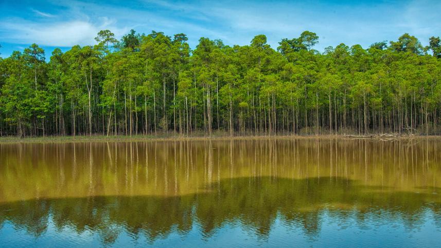 Kinabatangan River Malaysia