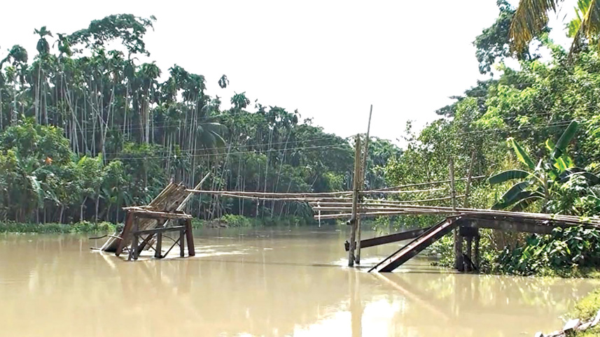 bridge.jpg