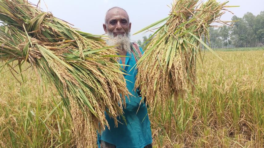 Bangladesh's rice production rose for 6th consecutive year in FY 2022-23