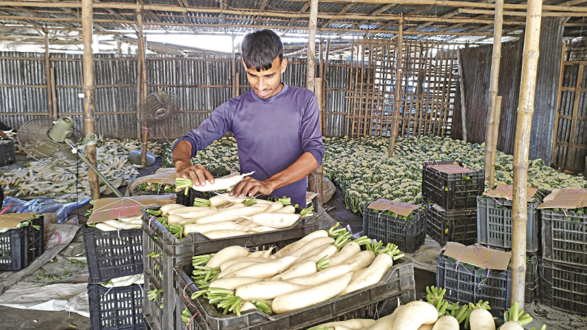 Blockade hits vegetable farmers