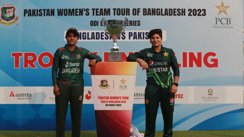 tigresses.jpg