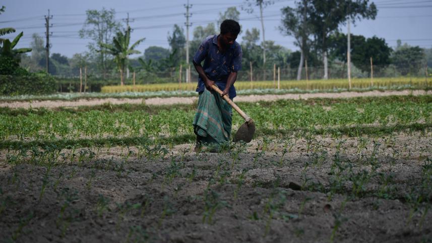 Potatoes set to get costlier as production costs double