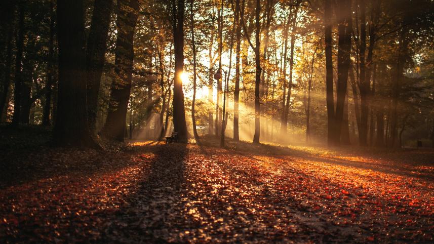colors of autumn