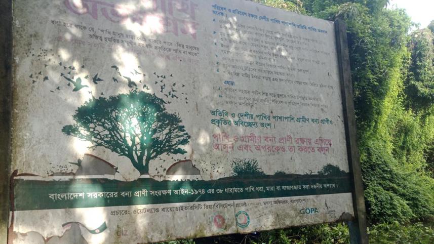 pabna-birds_sanctuary_photo-7.jpg