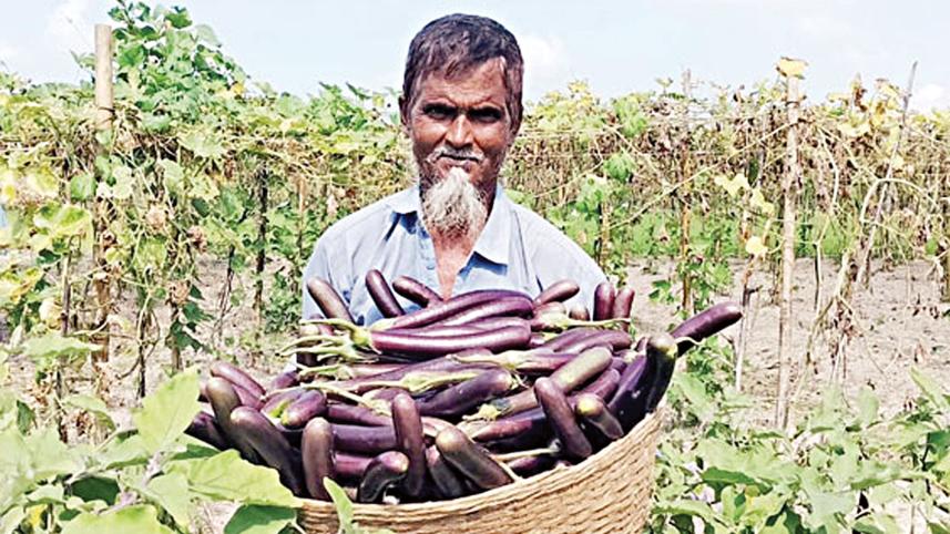 vegetable.jpg