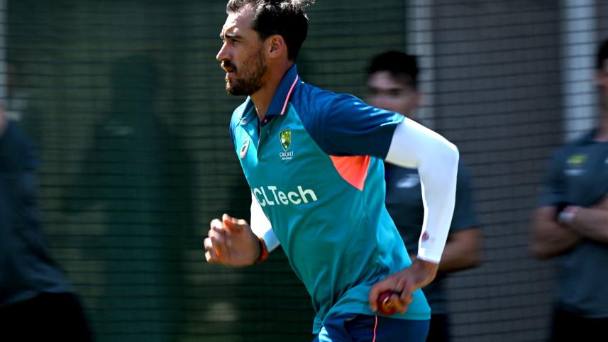 starc.jpg