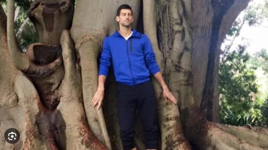 djokovic.jpg
