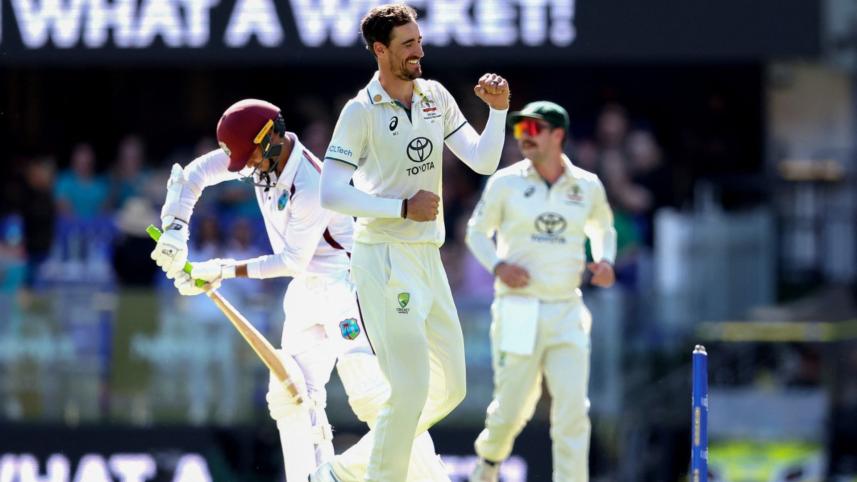 starc.jpg