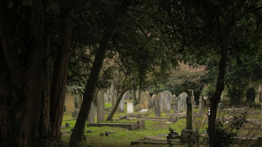 Beautiful cemeteries to visit around the world     edward-howell-2vpuutxhcaq-unsplash