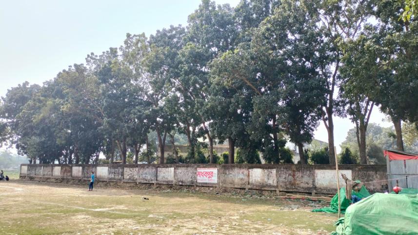 habiganj-municipality-tree-cut.jpg