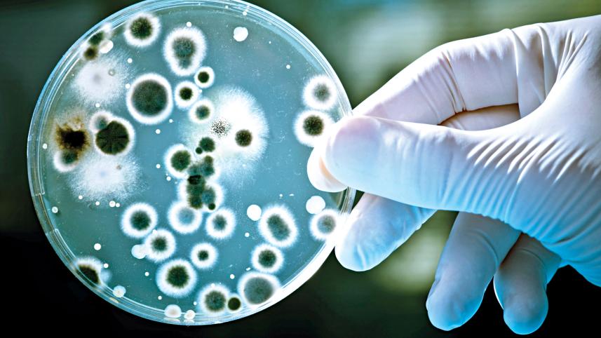 microbes.jpg
