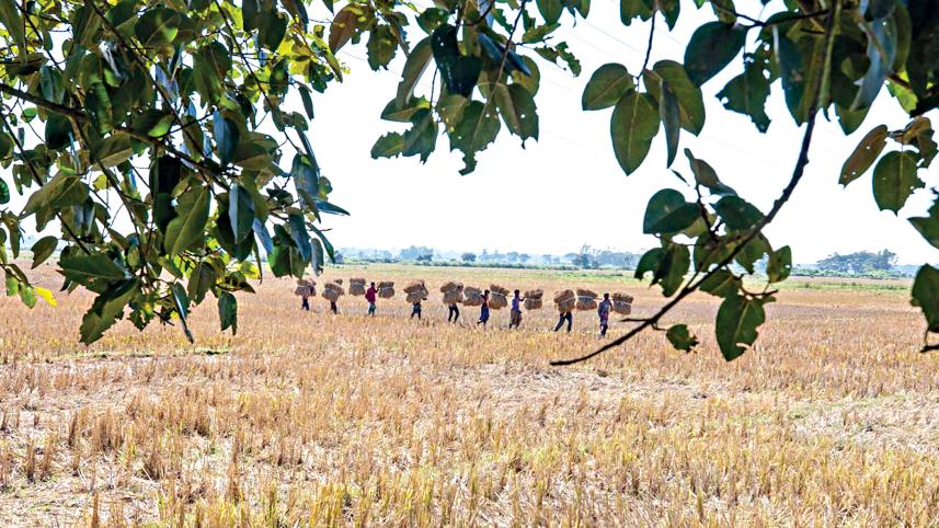 rangunia-upazila-7.jpg
