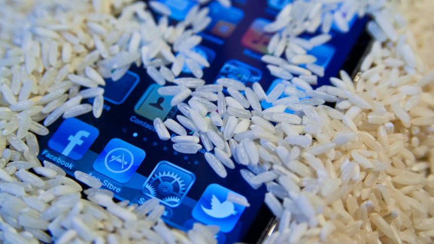 iPhone in rice