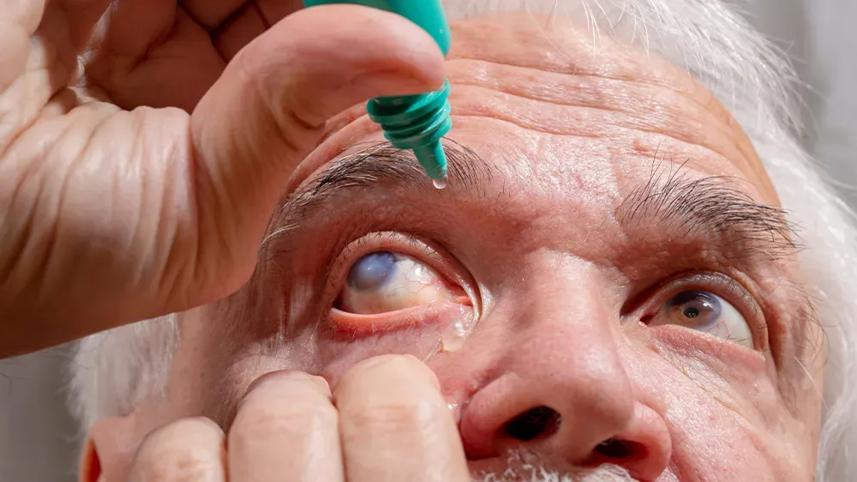 halt-glaucoma-progression.jpg