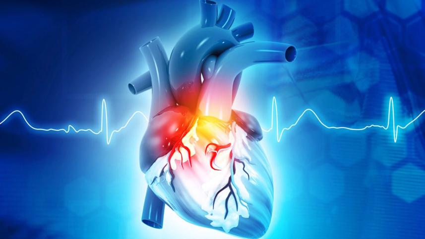 microorganism-affect-heart.jpg