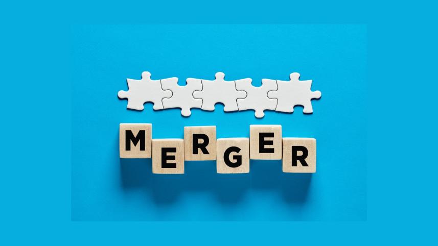 Banks can voluntarily merge until December: Bangladesh Bank