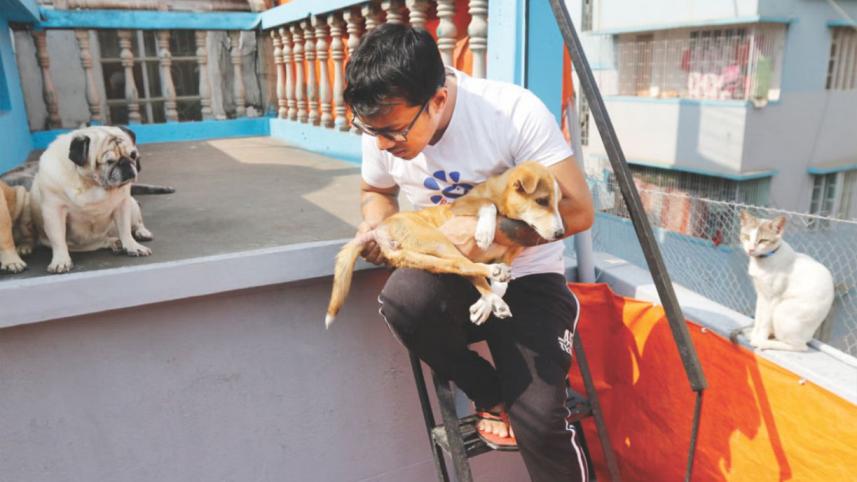 Bangladesh needs a formalised animal rescue system