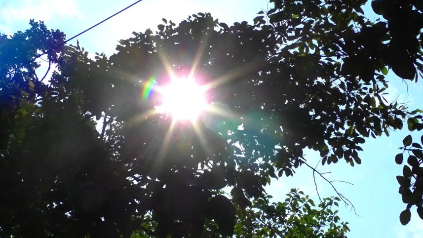 heatwave.jpg