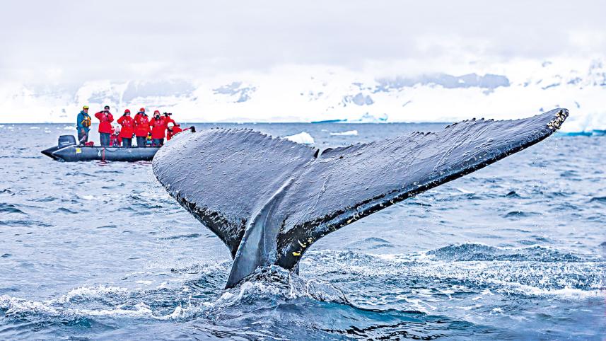 antartica6.jpg